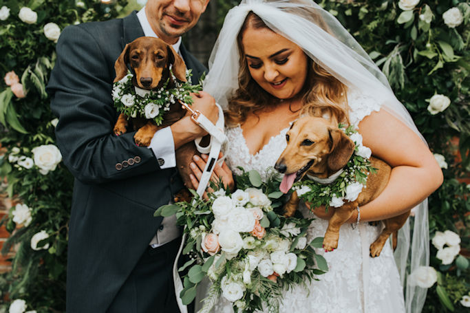 Wedding flower dog collars.